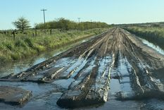 Los campos sufren las inundaciones tras la tormenta.