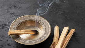Palo Santo, sus secretos, espiritualidad, aromas y cuáles usar, todos los detalles que lo envuelven en esta nota Foto: Pixabay