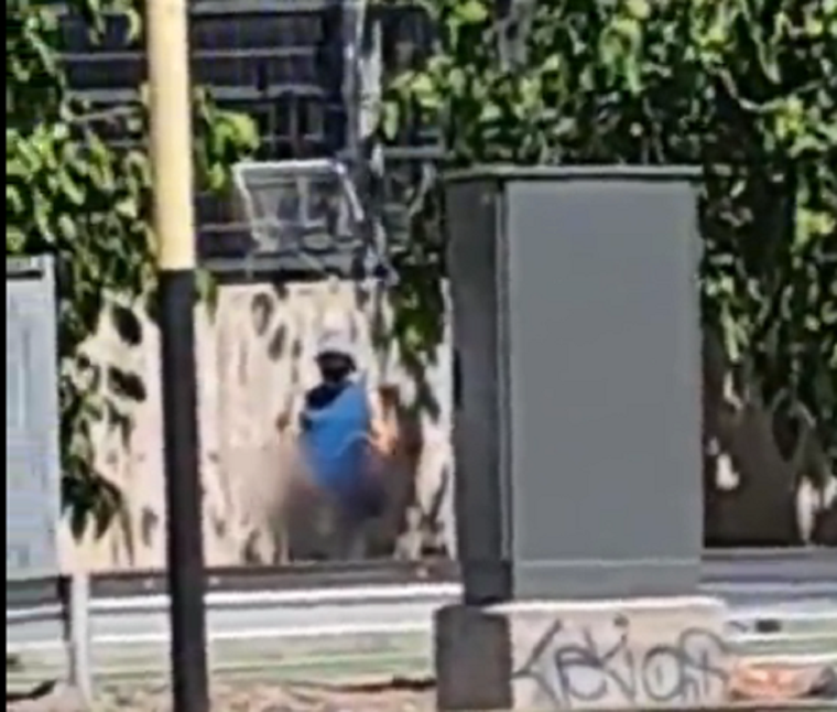 Foto: Captura video Twitter