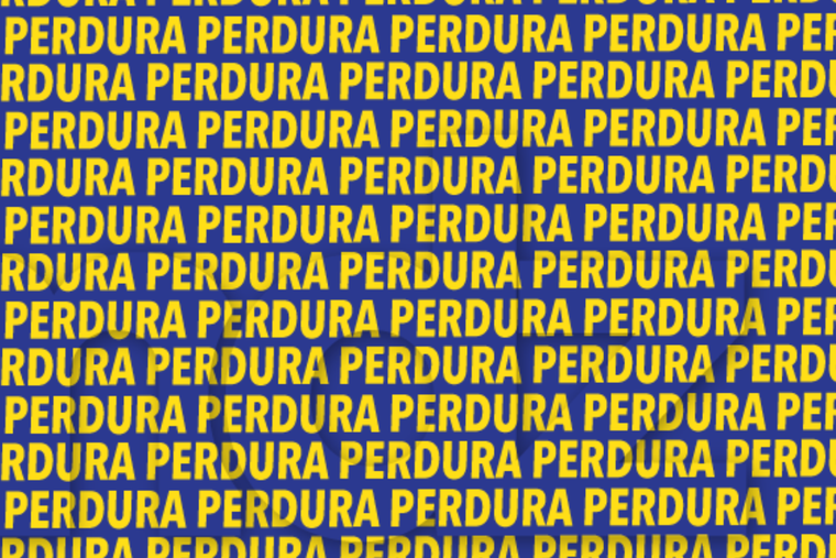 ACERTIJO VISUAL ACERTIJO VISUAL, RETO VISUAL, PALABRA Foto: MDZ ONLINE