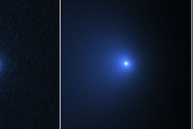 MDZol | La imágen de la izquierda muestra el cometa el 8 de enero de 2022. La de la derecha muestra la la coma, un sobre alrededor del núcleo de un cometa. Foto: NASA, ESA, MAN-TO HUI (UNIVERSIDAD DE MACAO)