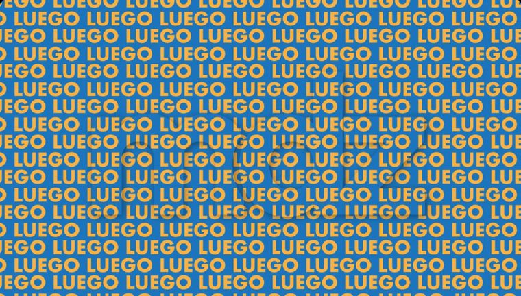 El acertijo visual es un juego con un gran nivel de dificultad Foto: Archivo MDZ