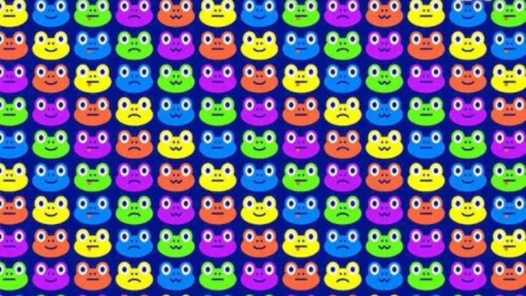 Acertijo visual, reto visual, ranas Pinterest Foto: Archivo MDZ