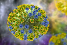 Una medida importante contra la gripe K es darse la vacuna antigripal.