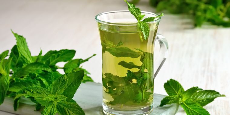 La menta es vital para aliviar un resfrío Foto: Ph Shutterstock