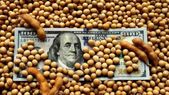 El complejo sojero es el principal generador de divisas en el país, con más del 40% de las exportaciones agroindustriales.