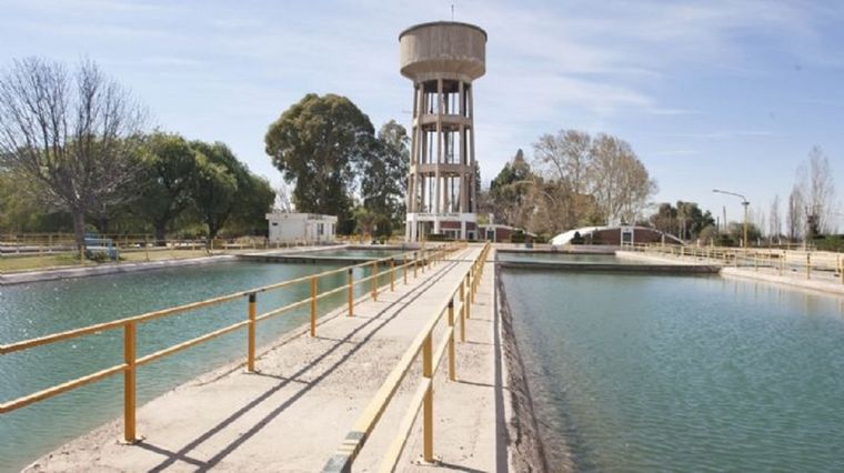 Quieren que el agua sea considerada persona no humana sujeto a derechos.