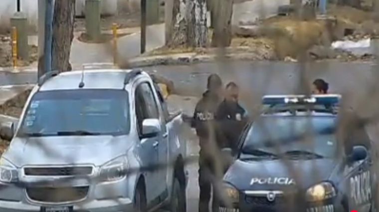 El momento de la detención del hombre que manejaba el vehículo robado.&nbsp;