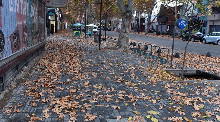 Foto: ALF PONCE / MDZ