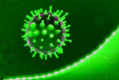 Un estudio del SARS-CoV-2 estimó que la tasa más alta de transmisión viral tiene lugar uno a dos días antes de que la persona infectada comience a mostrar síntomas.