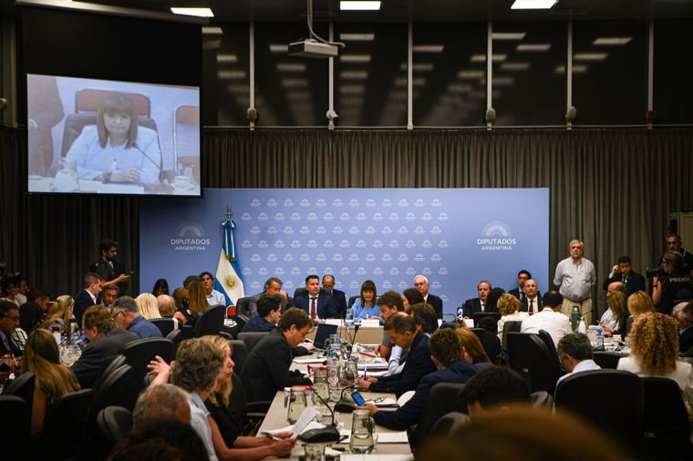 Diputados Llegó el borrador del dictamen pero no termina de convencer a la oposición. Crédito: Télam Foto: Telam