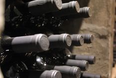 Más allá del complejo panorama que presenta el país y el mundo para el vino, las bodegas tienen oportunidades de crecimiento. Foto: ALF PONCE MERCADO / MDZ