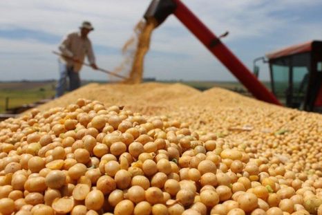 Campaña de la oleaginosa y el ingreso de dólares al país Foto: Noticias Argentinas