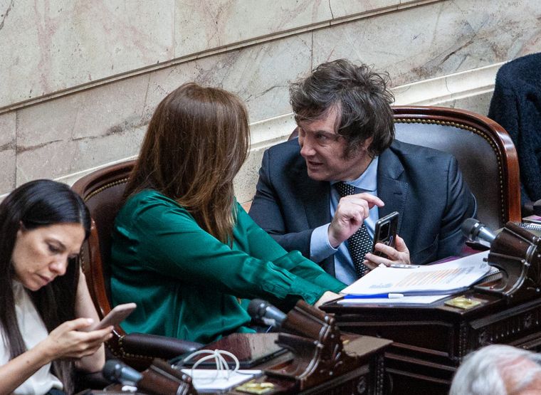 Javier Milei En Diputados ingresó un proyecto sobre la venta de órganos Foto: Noticias Argentinas