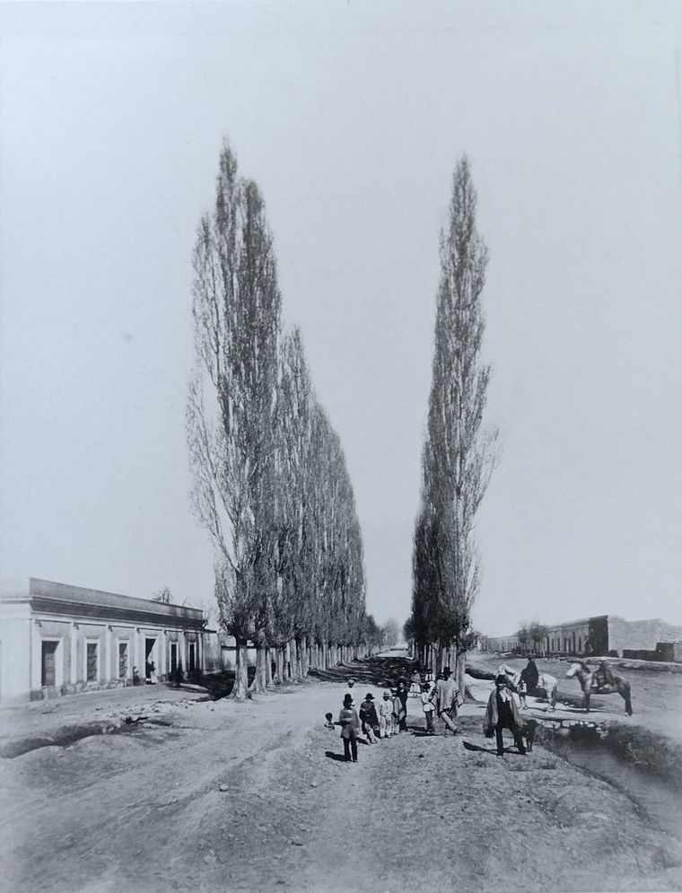 Así se veía la Alameda en el 1800. Así se veía la Alameda en el 1800.