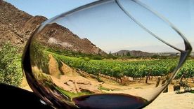 Nuevas oportunidades para el vino argentino en el Reino Unido