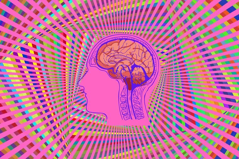 Test visual Test visual, cerebro Foto: Canva