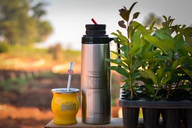 MDZol | En el sector cooperativo yerbatero hay miradas divergentes sobre la realidad del sector y las soluciones a mano. Foto: Cooperativa Yerbatera Andresito