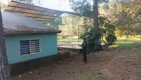Un adolescente de 13 años falleció tras recibir una descarga eléctrica en el techo de una escuela en Misiones.