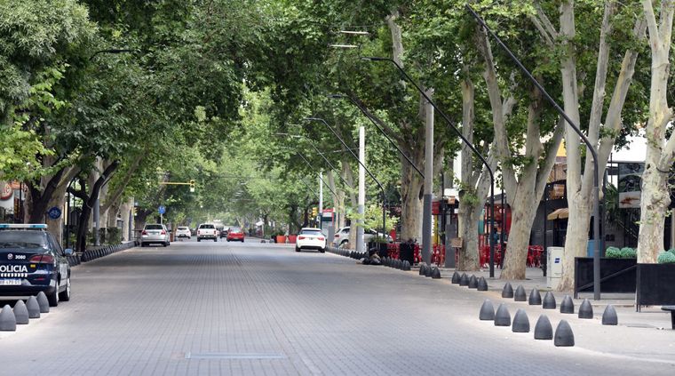 Foto: ALF PONCE MERCADO / MDZ