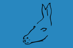 test de personalidad