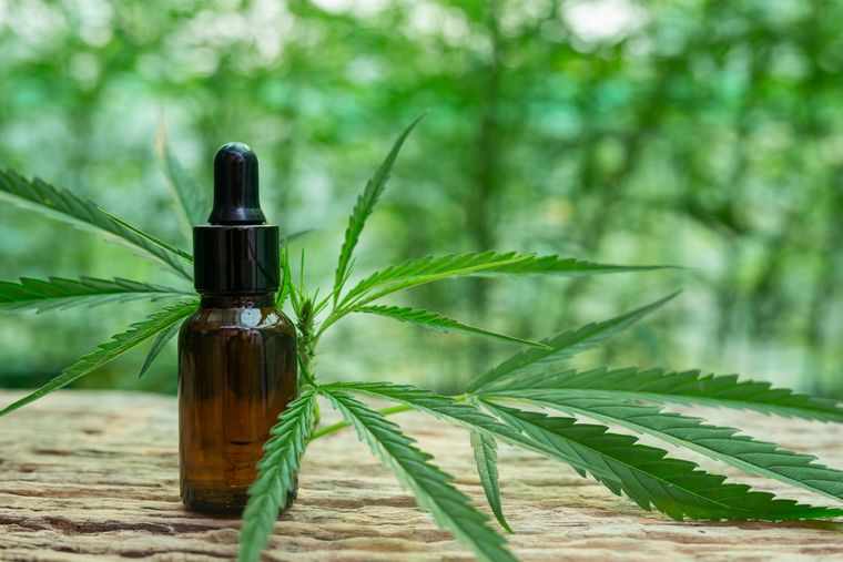 El Gobierno autorizó a las asociaciones civiles o fundaciones a inscribirse en el Registro del Programa Cannabis (Reprocann). Foto: Freepik