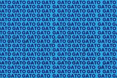 Acertijo visual Acertijo visual, Reto visual, Palabra Foto: MDZ Online