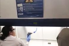 la confusa informacion sobre un laboratorio para detectar coronavirus en san rafael la confusa informacion sobre un laboratorio para detectar coronavirus en san rafael