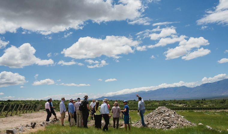 Se trata de la segunda visita que realizan los referentes del Institute of Masters of Wine (IMW), la anterior fue en 2018. Foto: WofA