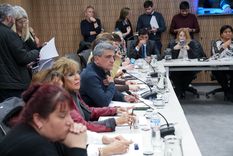 Se llevaron a cabo dos comisiones por el escándalo de los audios y la causa Andis