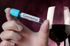 Vino y coronavirus.