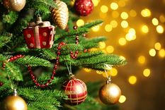 Foto: Shutterstock