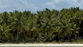 Isla Saona es uno de los puntos más visitados del Caribe. Isla Saona es uno de los puntos más visitados del Caribe.