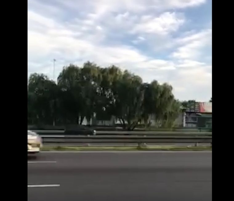 El hecho quedó captado por un vecino