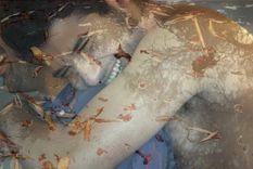 Marcos Bakota y Agustín Luque le dan vida a los protagonistas de esta historia.