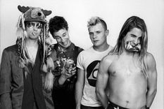 fallecio un ex guitarrista de red hot chili peppers