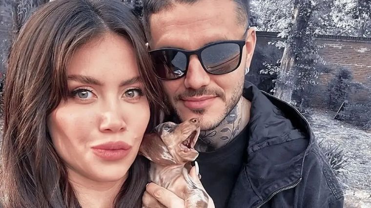 El destino de la perra salchicha de Wanda Nara y Mauro Icardi Foto: Foto: Instagram @wanda_nara