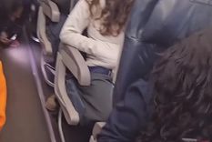 Una pasajera perdió a su hamster en pleno vuelo