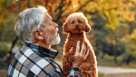 La caninoterapia ha mostrado bueno resultados en el bienestar de los adultos mayores. La caninoterapia ha mostrado bueno resultados en el bienestar de los adultos mayores.