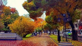 El Servicio Meteorológico Nacional anticipó las tendencias del otoño 2026 en Mendoza a partir de su pronóstico trimestral. El Servicio Meteorológico Nacional anticipó las tendencias del otoño 2026 en Mendoza a partir de su pronóstico trimestral.