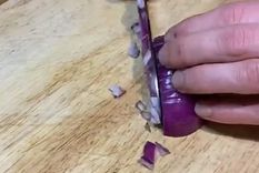 Video viral Foto: TikTok