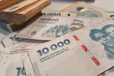 La Anses realiza los depósitos según terminación de documento.