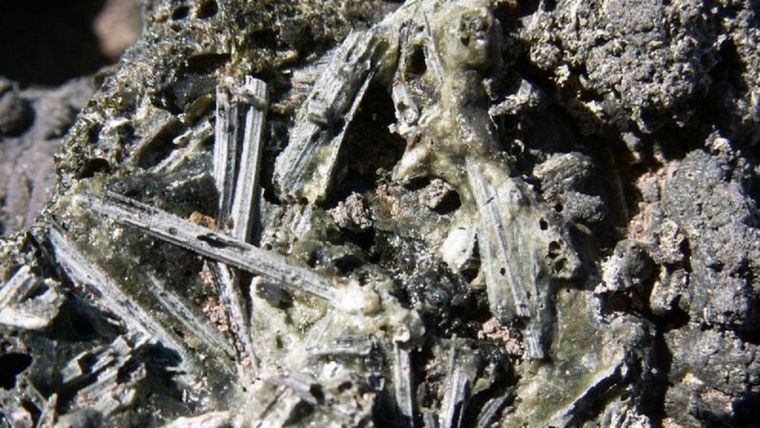 Foto: NICOLÁS BLANCO