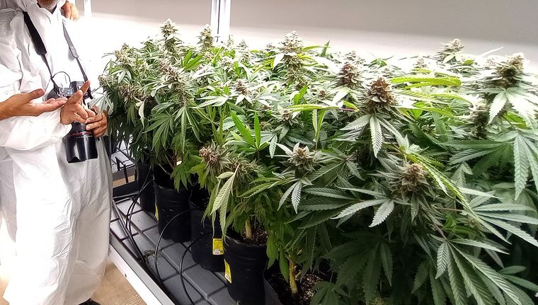 Foto: ALF PONCE MERCADO / MDZ