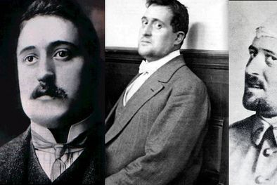 MDZol | Foto: trumbl.com