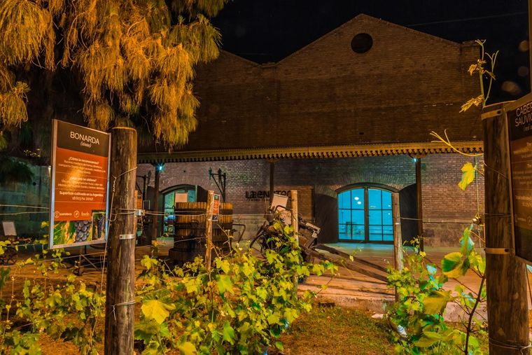 La enoteca, un espacio emblemático del vino argentino.