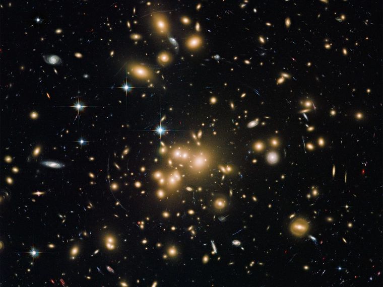 599786.jpg