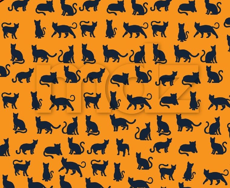 Este acertijo visual ayuda a agudizar la vista Foto: Archivo MDZ