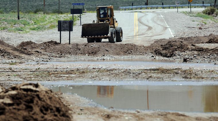 Foto: Pachy Reynoso/MDZ