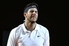 juan martin del potro se bajo del abierto de australia juan martin del potro se bajo del abierto de australia